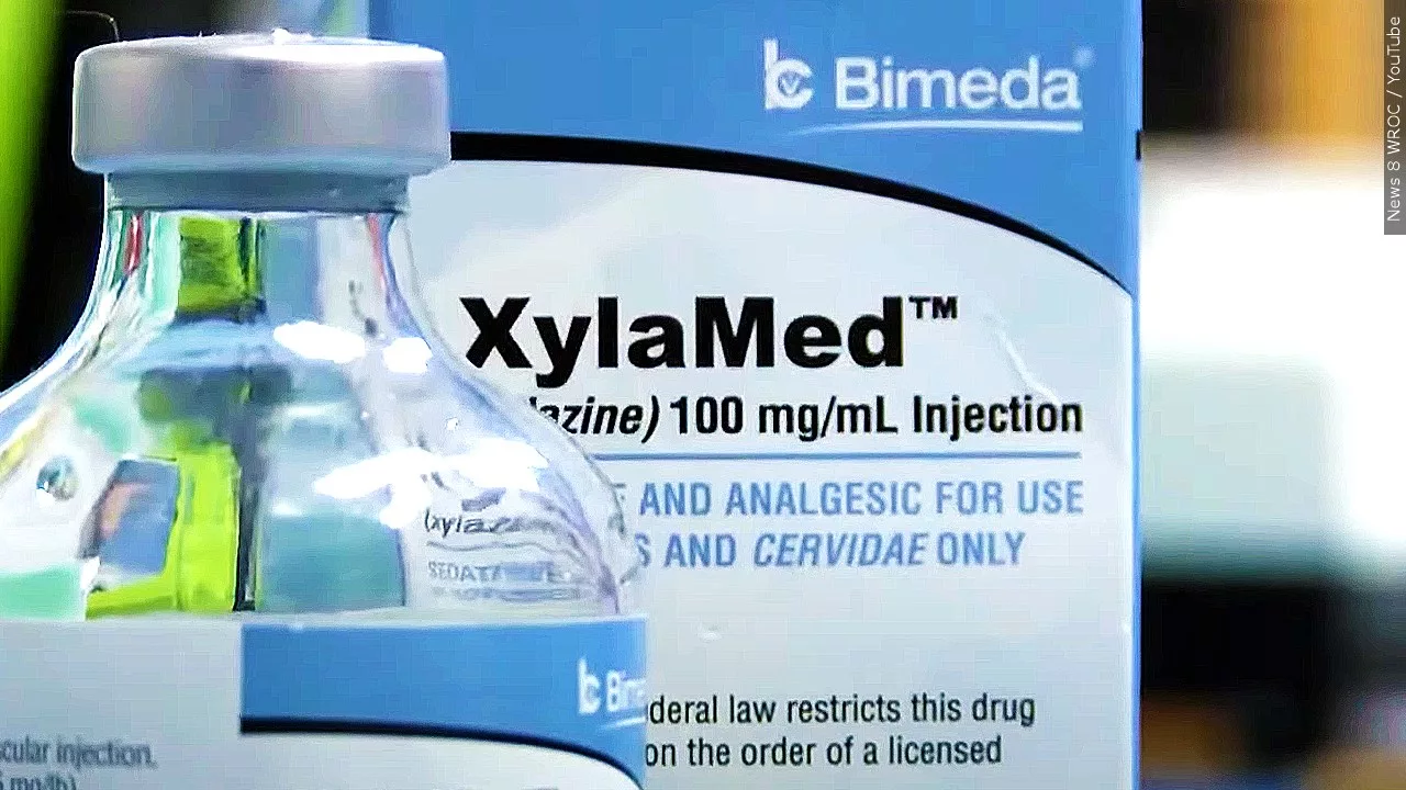 Administration responds to growing crisis of xylazine-positive overdose deaths
