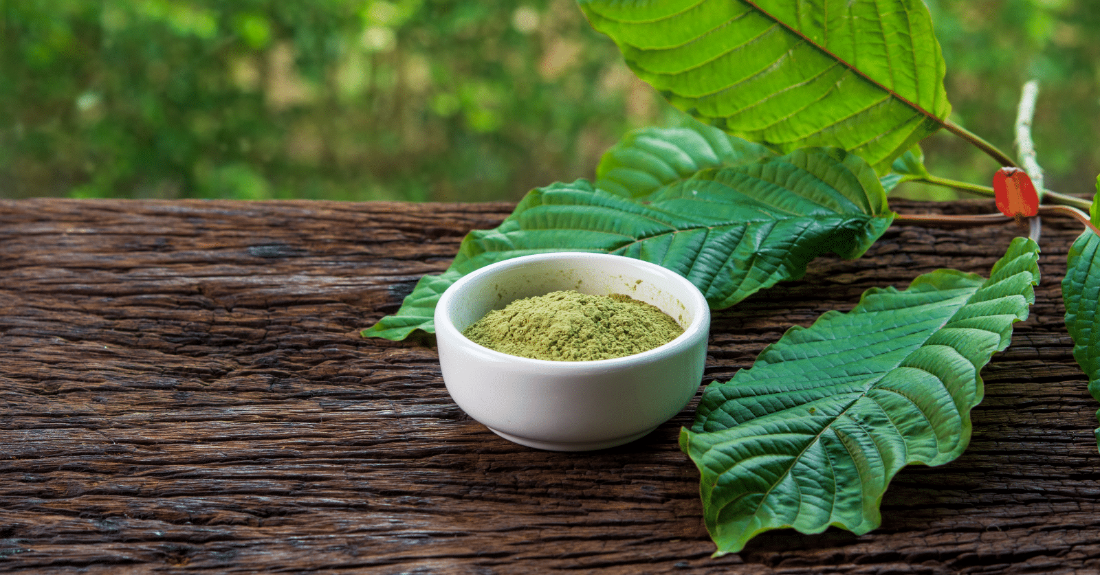 $11 million awarded to family of woman who died after taking kratom; Understanding the opioid-like herb