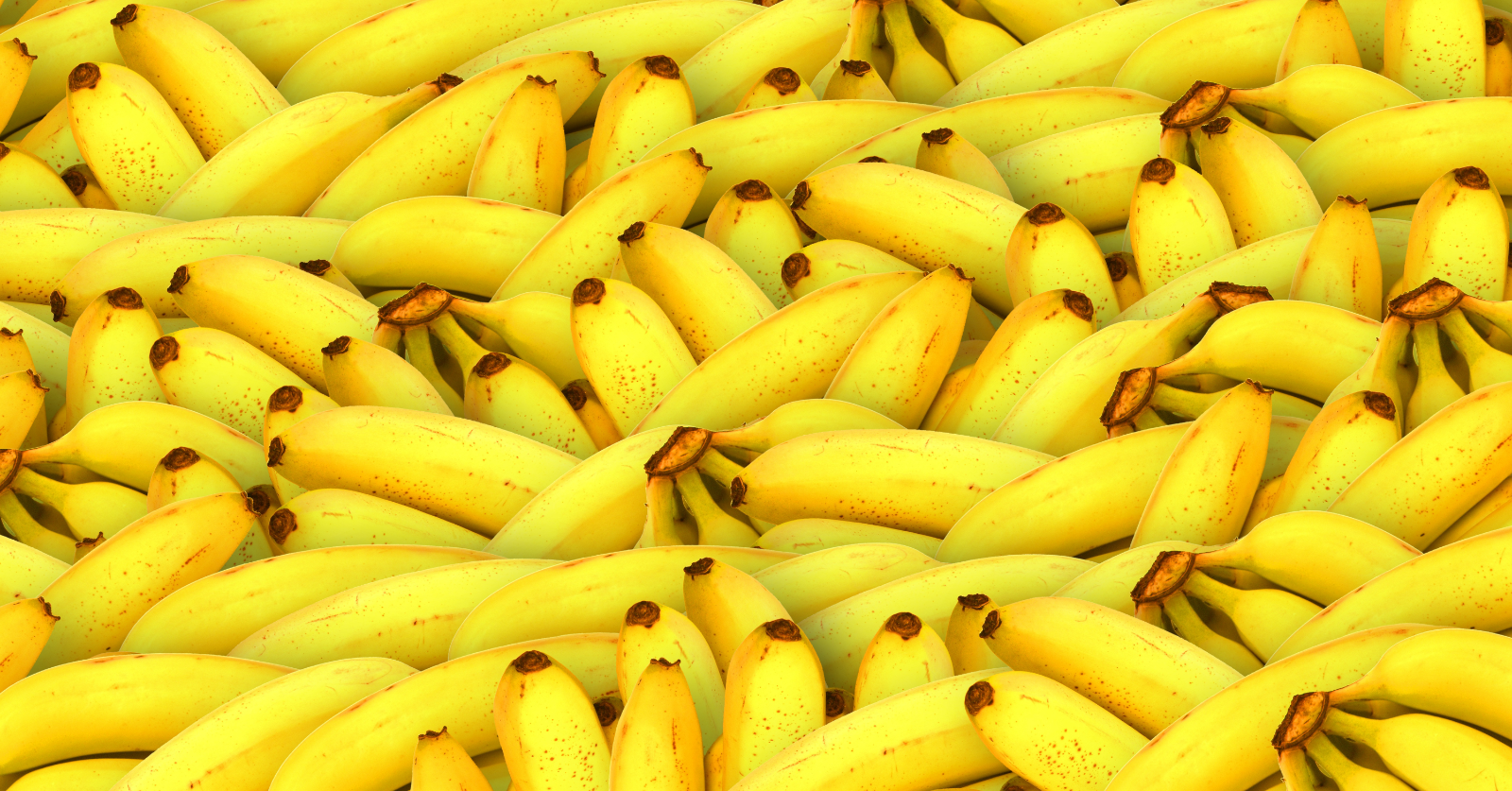 Why bananas are being used to smuggle cocaine