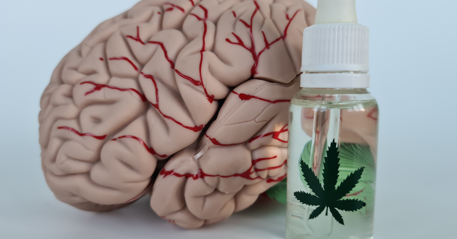 Research reveals genetic link to cannabis use disorder