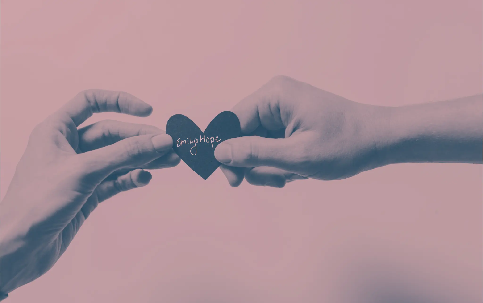Two hands holding a paper heart with the Emily's Hope logo