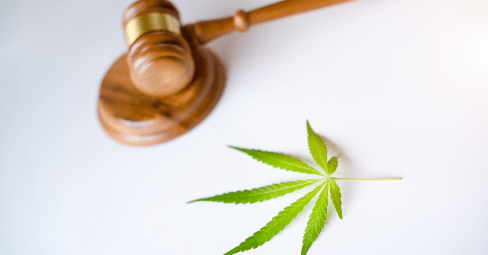 DEA plans to reclassify marijuana as less dangerous drug, according to several news sources