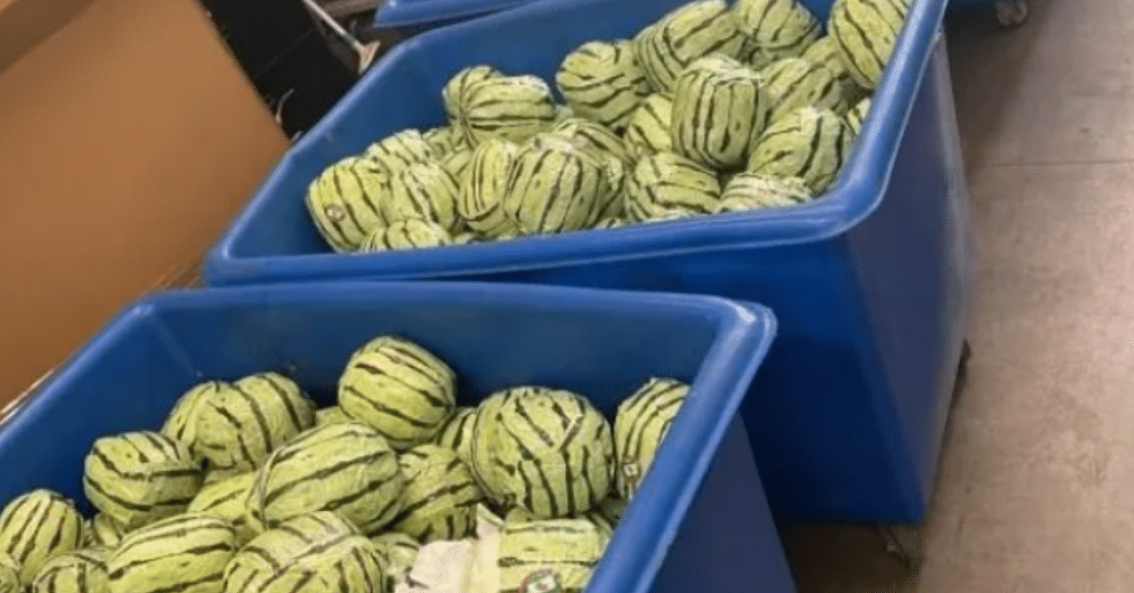 Watermelon or meth? CBP uncovers $5 million drug smuggling attempt