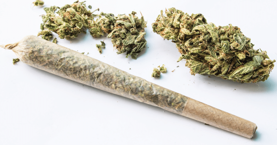 Marijuana addiction increases risk of premature death, study finds