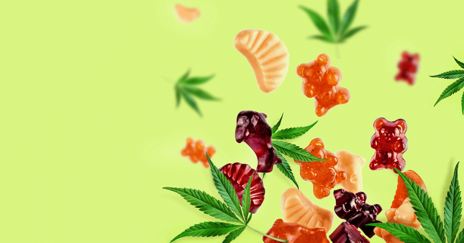 Marijuana gummies hospitalize 11 New York middle schoolers